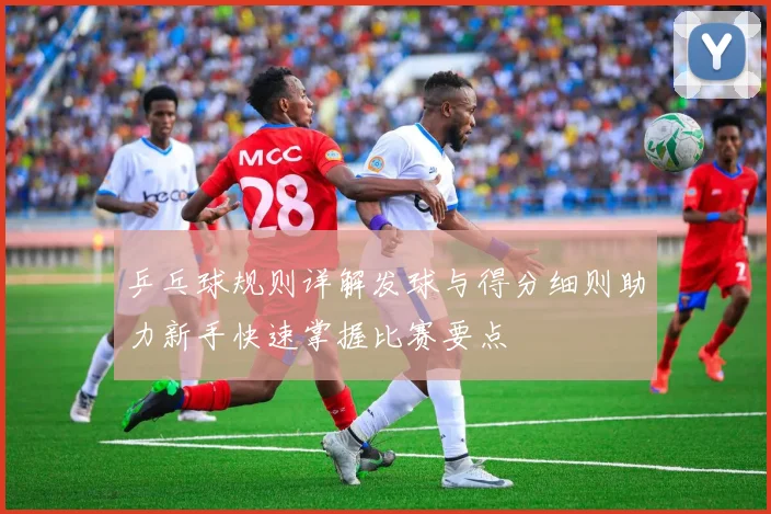 乒乓球规则详解发球与得分细则助力新手快速掌握比赛要点
