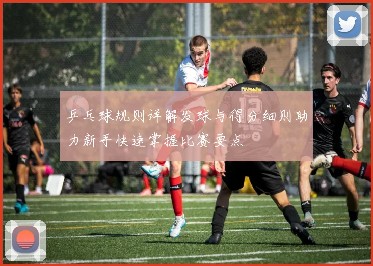 乒乓球规则详解发球与得分细则助力新手快速掌握比赛要点