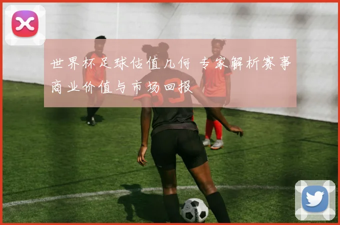 世界杯足球估值几何 专家解析赛事商业价值与市场回报