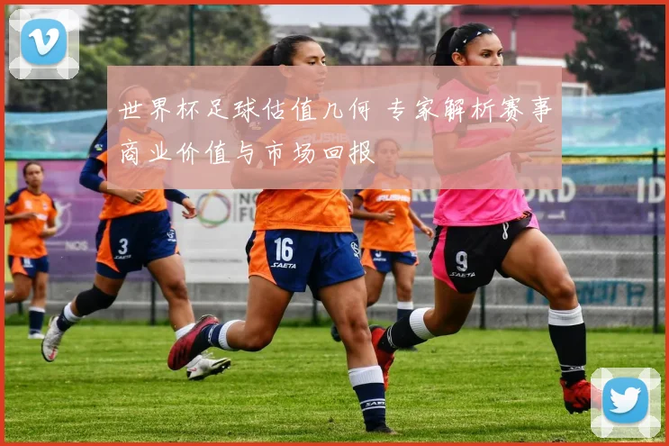 世界杯足球估值几何 专家解析赛事商业价值与市场回报