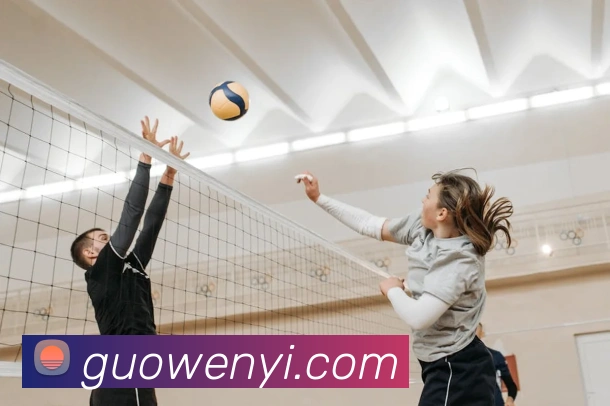 世界杯官方网络平台平台生态图